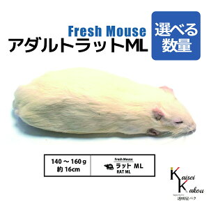 「アダルトラットML 選べる数量 Biokimia 」 約16cm 140〜160g 冷凍マウス 冷凍ラット フレッシュマウス フレッシュラット 冷凍餌 エサ えさ 爬虫類 両生類 猛禽類 大型魚 大型肉食魚