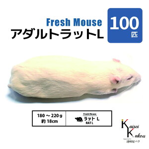 uA_gbgL 100C Biokimia v 18cm 180`220g Ⓚ}EX Ⓚbg tbV}EX tbVbg Ⓚa GT  ঒  ҋח ^ ^H