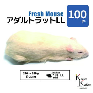 uA_gbgLL 100C Biokimia v 20cm 240`280g Ⓚ}EX Ⓚbg tbV}EX tbVbg Ⓚa GT  ঒  ҋח ^ ^H