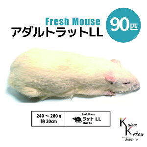 uA_gbgLL 90C Biokimia v 20cm 240`280g Ⓚ}EX Ⓚbg tbV}EX tbVbg Ⓚa GT  ঒  ҋח ^ ^H