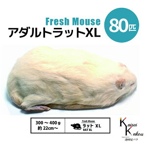 uA_gbgXL 80C Biokimia v 22cm` 300`400g Ⓚ}EX Ⓚbg tbV}EX tbVbg Ⓚa GT  ঒  ҋח ^ ^H