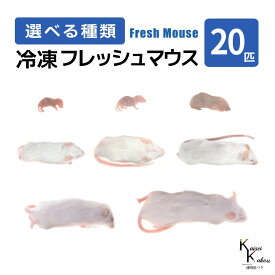 「マウス 20匹 選べる種類 Biokimia 」 冷凍マウス 冷凍ラット フレッシュマウス フレッシュラット 冷凍餌 エサ えさ 爬虫類 両生類 猛禽類 大型魚 大型肉食魚