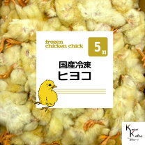 楽天市場】冷凍ひよこ（爬虫類・両生類｜ペット・ペットグッズ）の通販