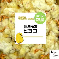 楽天市場】冷凍ひよこの通販