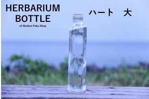 Lbvt n[oE {g run[g@40{Zbg@A~S[hvKXr r ԍ EGfBO vU[uht[ CX^ SNS {gt[ IC n[oE