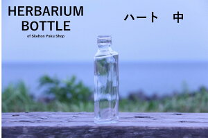 Lbvt n[oE {g run[g@50{Zbg@A~XJCu[vKXr r ԍ EGfBO vU[uht[ CX^ SNS {gt[ IC n[o