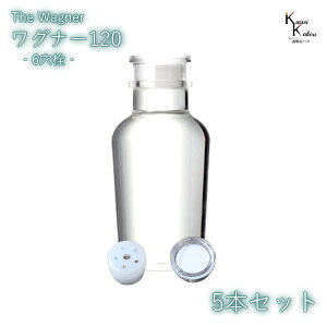 キャップ付 ボトル 瓶 「ワグナー瓶120 6穴栓 5本セット」 透明瓶 ガラス瓶 保存瓶 調味料 スパイス 塩 ソルト 香辛料 調味料容器 スパイス容器 香辛料容器 スパイスボトル ミニ かわいい