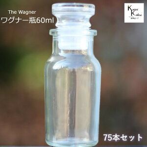 キャップ付 ボトル 瓶 「ワグナー瓶60 75本セット」 透明瓶 ガラス瓶 保存瓶 調味料 スパイス 塩 ソルト 香辛料 調味料容器 スパイス容器 香辛料容器 スパイスボトル ミニ かわいい 可愛い