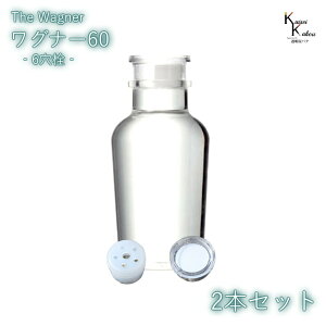 送料無料 キャップ付 ボトル 瓶 「ワグナー瓶60 6穴栓 2本セット」 透明瓶 ガラス瓶 保存瓶 調味料 スパイス 塩 ソルト 香辛料 調味料容器 スパイス容器 香辛料容器 スパイスボトル ミニ