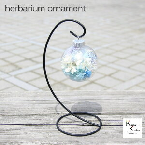 un[oE I[ig u[ v n[oE I[ig  NX}Xɂ ݂邷 n[oE I[ig  nhCh {g AW{  t[ fR