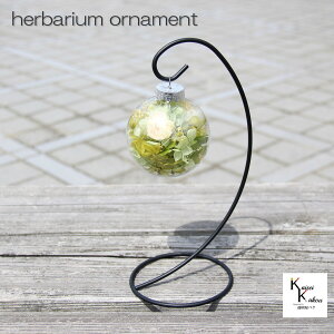 un[oE I[ig O[ v n[oE I[ig  NX}Xɂ ݂邷 n[oE I[ig  nhCh {g AW{  t[ fR