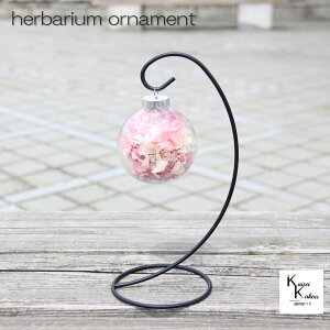 un[oE I[ig sN v n[oE I[ig  NX}Xɂ ݂邷 n[oE I[ig  nhCh {g AW{  t[ fR