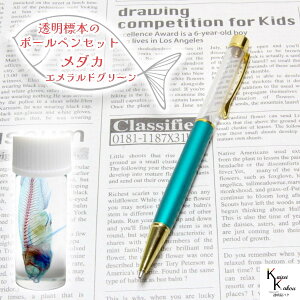 u{[y W{_JZbg GhO[ 1{v Zbg n[oE{[y  {[y IWi JX^}CYy IWi{[y ԍ {