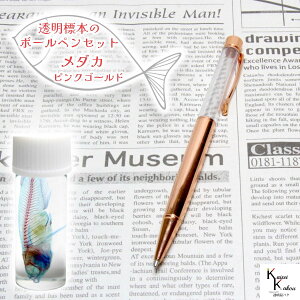 u{[y W{_JZbg sNS[h 1{v Zbg n[oE{[y  {[y IWi JX^}CYy IWi{[y ԍ {[