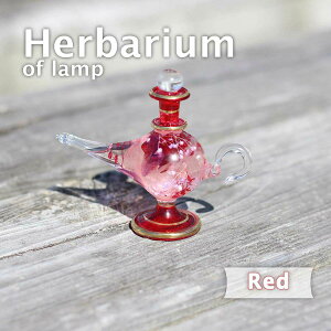 un[oE@i@v@bhvGWvg@GWvV{g@NIpg KX r {g ԍ vU[uht[  Mtg v[gn[oE KX r GW