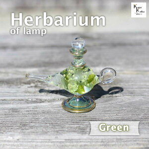 un[oE@i@v@O[vGWvg@GWvV{g@NIpg KX r {g ԍ vU[uht[  Mtg v[gn[oE KX r G