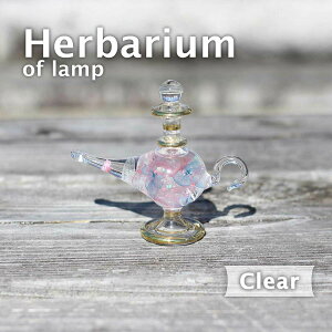 un[oE@i@v@NAvGWvg@GWvV{g@NIpg KX r {g ԍ vU[uht[  Mtg v[gn[oE KX r GW