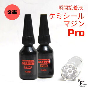 �u�P�~�V�[���}�W��PRO �I�ׂ�2�^�C�v10g ���C�g�Z�b�g2�{�v�ڒ��܁@�t�̃v���X�`�b�N�@�p�[�c��C�@�ڒ� ���� ���� �n�[�o���E�� �I���W�i���O�b�Y �n���h���C�h �f�R���[�V���� �R�[�e