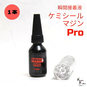 �u�P�~�V�[���}�W��PRO�i�d���j10g ���C�g�Z�b�g 1�{�v�ڒ��܁@�t�̃v���X�`�b�N�@�p�[�c��C�@�ڒ� ���� ���� �n�[�o���E�� �I���W�i���O�b�Y �n���h���C�h �f�R���[�V���� �R�[�e�B���O