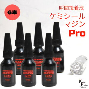 �u�P�~�V�[���}�W��PRO�i�d���j10g ���C�g�Z�b�g 6�{�v�ڒ��܁@�t�̃v���X�`�b�N�@�p�[�c��C�@�ڒ� ���� ���� �n�[�o���E�� �I���W�i���O�b�Y �n���h���C�h �f�R���[�V���� �R�[�e�B���O