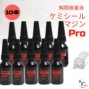�u�P�~�V�[���}�W��PRO�i�d���j10g ���C�g�Z�b�g 10�{�v�ڒ��܁@�t�̃v���X�`�b�N�@�p�[�c��C�@�ڒ� ���� ���� �n�[�o���E�� �I���W�i���O�b�Y �n���h���C�h �f�R���[�V���� �R�[�e�B��