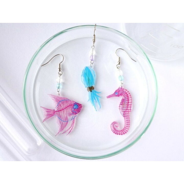 楽天市場 透明標本 ピアス イアリング かわいい きれい 骨格 透明 クリア スケルトン 作り方 骨 マグネット 指輪 ネックレス 大きい 理科 実験 2重染色 Skelton Specimen アクセサリー カイセイ加工 透明屋パク