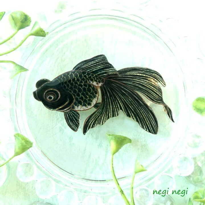 楽天市場】帯留め ブローチ 出目金 キンギョ 金魚 帯飾り 浴衣 夏祭り 