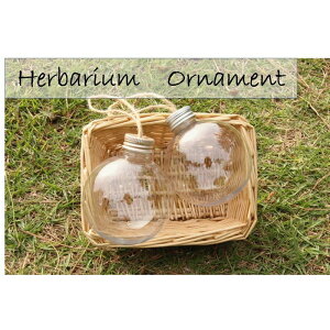 uI[ig {[ Lbvv v[g 蕨  Ǐ  n[oE  {g AW{ fR[V {g v[g G  Mtg  ݂邷  C