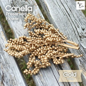 uJl@S[h@100g vn_@vU[uht[@ԍށ@hCt[ hC@t[c ̑@ Jl x[