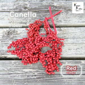 uJl@bh@100g vn_@vU[uht[@ԍށ@hCt[ hC@t[c ̑@ Jl x[