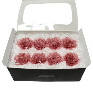 n_I vU[uht[ uJ[l[V@1i8ցj@IׂvvU hCt[ ԍ  n[oE ̓  킢 v[g 蕨 II`mEG