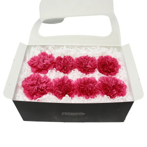 n_I vU[uht[ uJ[l[V@1i8ցj@IׂvvU hCt[ ԍ  n[oE ̓  킢 v[g 蕨 II`mEG