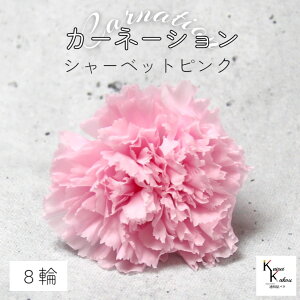 n_I vU[uht[ uJ[l[V@V[xbgsN@1i8ցjvvU hCt[ ԍ  n[oE ̓  킢 v[g 蕨 II