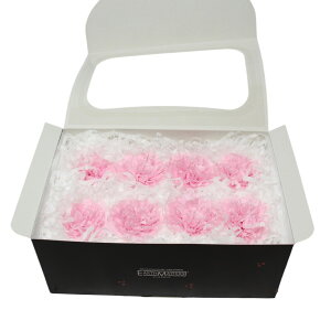 n_I vU[uht[ uJ[l[V@1i8ցj@IׂvvU hCt[ ԍ  n[oE ̓  킢 v[g 蕨 II`mEG