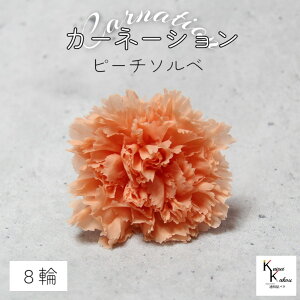 n_I vU[uht[ uJ[l[V@s[`\x@1i8ցjvvU hCt[ ԍ  n[oE ̓  킢 v[g 蕨 II`mE