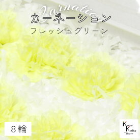 大地農園！ プリザーブドフラワー 「カーネーション　フレッシュグリーン　1箱（8輪）」プリザ ドライフラワー 花材 装飾 ハーバリウム 母の日 おしゃれ かわいい プレゼント 贈り物 オオチノウエン