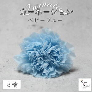 n_I vU[uht[ uJ[l[V@xr[u[@1i8ցjvvU hCt[ ԍ  n[oE ̓  킢 v[g 蕨 II`mE