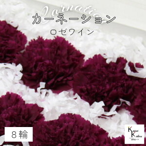 n_I vU[uht[ uJ[l[V@[C@1i8ցjvvU hCt[ ԍ  n[oE ̓  킢 v[g 蕨 II`mEG