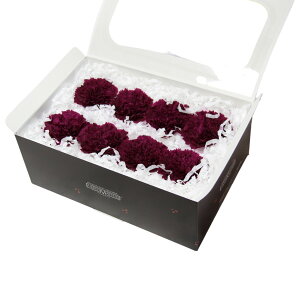 n_I vU[uht[ uJ[l[V@1ց@IׂvvU hCt[ ԍ  n[oE ̓  킢 v[g 蕨 II`mEG