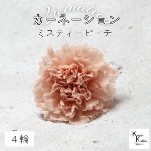 n_I vU[uht[ uJ[l[V@~XeB[s[`@4ցvvU hCt[ ԍ  n[oE ̓  킢 v[g 蕨 II`mEG