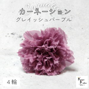 n_I vU[uht[ uJ[l[V@OCbVp[v@4ցvvU hCt[ ԍ  n[oE ̓  킢 v[g 蕨 II`mE