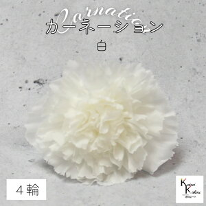 n_I vU[uht[ uJ[l[V@@4ցvvU hCt[ ԍ  n[oE ̓  킢 v[g 蕨 II`mEG