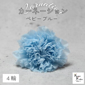 n_I vU[uht[ uJ[l[V@xr[u[@4ցvvU hCt[ ԍ  n[oE ̓  킢 v[g 蕨 II`mEG