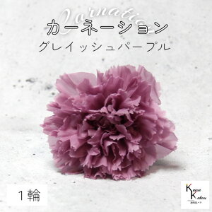 n_I vU[uht[ uJ[l[V@OCbVp[v@1ցvvU hCt[ ԍ  n[oE ̓  킢 v[g 蕨 II`mE