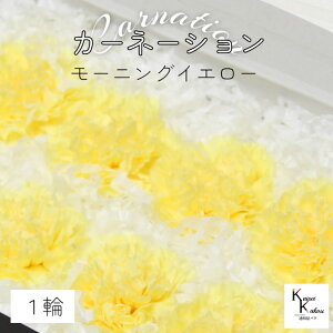 n_I vU[uht[ uJ[l[V@[jOCG[@1ցvvU hCt[ ԍ  n[oE ̓  킢 v[g 蕨 II`mEG