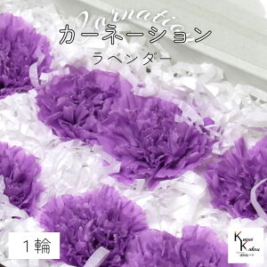 n_I vU[uht[ uJ[l[V@x_[@1ցvvU hCt[ ԍ  n[oE ̓  킢 v[g 蕨 II`mEG