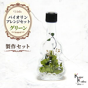 �u�o�C�I���� �A�����W�����g ����Z�b�g �I�ׂ�J���[�v �v���U �ԍ� �n�[�o���E�� ���@�C�I���� �r ������� ���킢�� �v���[���g ���蕨�@�I�I�`�m�E�G�� �N���X�}�X �o�����^�C���f�[ 