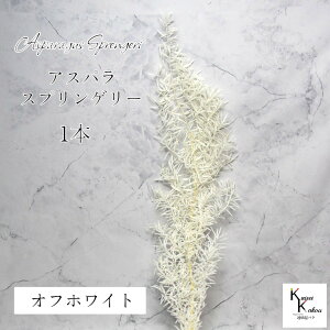 ��n�_���I�v���U�[�u�h�t�����[�u�A�X�p���E�X�v�����Q���[ �I�t�z���C�g 1�{�v�v���U �ԍ� �n�[�o���E�� ������� �i�`������ �O���[�� ���킢�� �v���[���g ���蕨 �I�I�`�m�E�G��