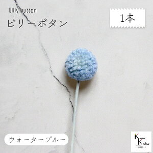 ��n�_���I�v���U�[�u�h�t�����[ �u�r���[�{�^�� �E�H�[�^�[�u���[ 1�{�v�v���U �ԍ� �n�[�o���E�� ������� ���킢�� �v���[���g ���蕨�@�I�I�`�m�E�G��