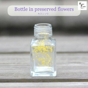 大地農園「ボトルインフラワー カスミソウ エンジェルイエロー 0.2g スクエア50ml」プリザーブドフラワー プリザ ハーバリウム 小花 ドライフラワー ハーバリウム アロマワックス